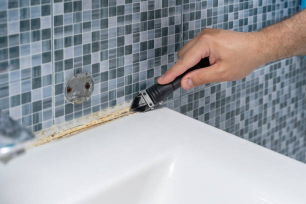  New Castle, PA Mold Removal Pros